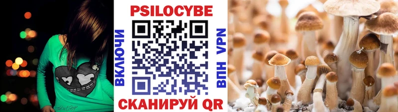 Псилоцибиновые грибы мицелий Сретенск